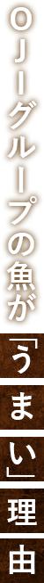 OJIグループの魚が「うまい」理由